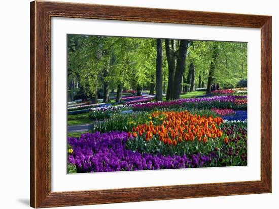 Tulips and Hyacinth in Keukenhof Gardens-Darrell Gulin-Framed Photographic Print