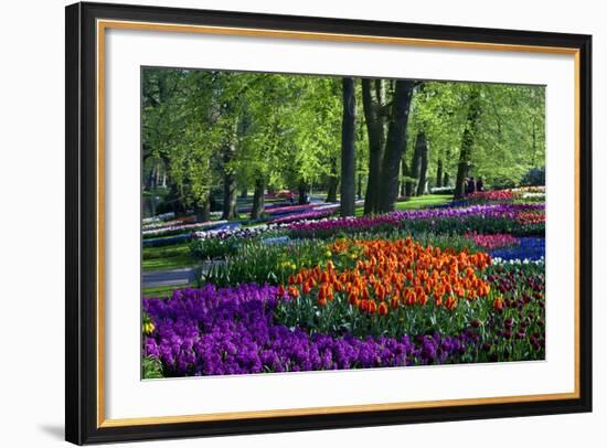 Tulips and Hyacinth in Keukenhof Gardens-Darrell Gulin-Framed Photographic Print