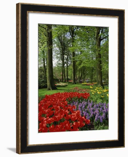 Tulips and Hyacinths in the Keukenhof Gardens at Lisse, the Netherlands, Europe-Groenendijk Peter-Framed Photographic Print