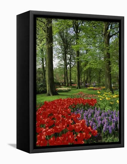 Tulips and Hyacinths in the Keukenhof Gardens at Lisse, the Netherlands, Europe-Groenendijk Peter-Framed Premier Image Canvas