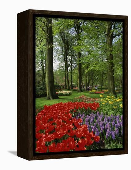 Tulips and Hyacinths in the Keukenhof Gardens at Lisse, the Netherlands, Europe-Groenendijk Peter-Framed Premier Image Canvas