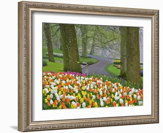 Tulips and Roadway, Keukenhof Gardens, Lisse, Netherlands-Adam Jones-Framed Photographic Print