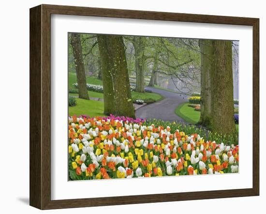 Tulips and Roadway, Keukenhof Gardens, Lisse, Netherlands-Adam Jones-Framed Photographic Print