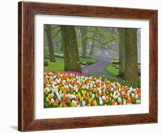 Tulips and Roadway, Keukenhof Gardens, Lisse, Netherlands-Adam Jones-Framed Photographic Print