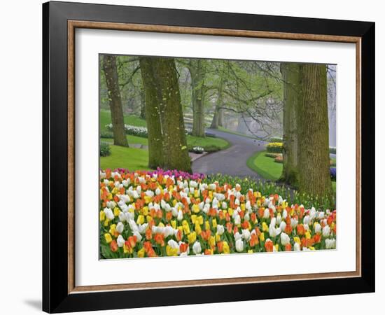 Tulips and Roadway, Keukenhof Gardens, Lisse, Netherlands-Adam Jones-Framed Photographic Print