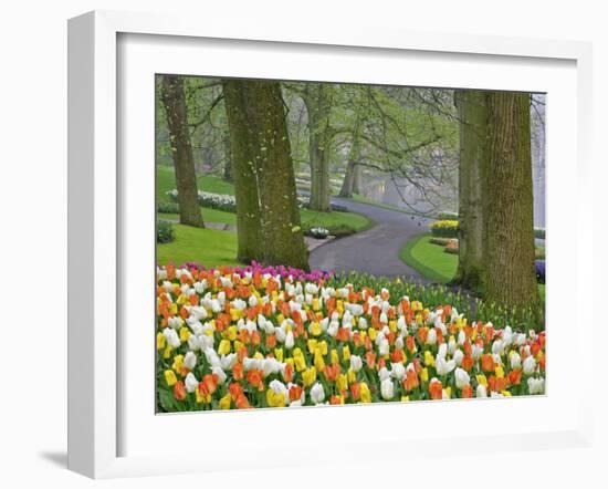 Tulips and Roadway, Keukenhof Gardens, Lisse, Netherlands-Adam Jones-Framed Photographic Print