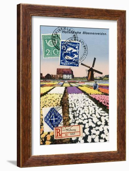 Tulips and Windmills, Dutch Vintage Postcard Collage-Piddix-Framed Premium Giclee Print