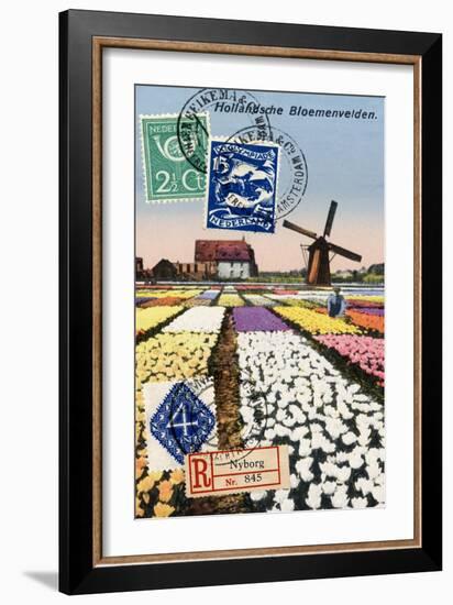 Tulips and Windmills, Dutch Vintage Postcard Collage-Piddix-Framed Premium Giclee Print