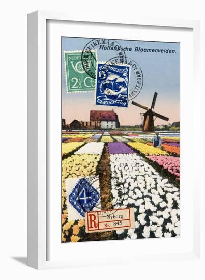 Tulips and Windmills, Dutch Vintage Postcard Collage-Piddix-Framed Premium Giclee Print
