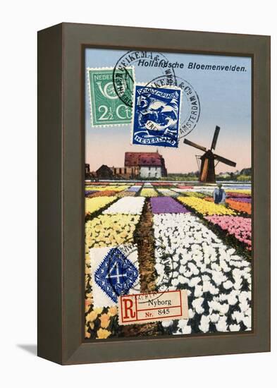 Tulips and Windmills, Dutch Vintage Postcard Collage-Piddix-Framed Stretched Canvas