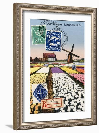 Tulips and Windmills, Dutch Vintage Postcard Collage-Piddix-Framed Art Print