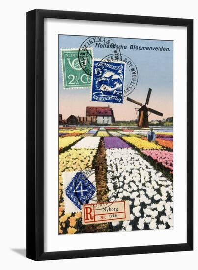 Tulips and Windmills, Dutch Vintage Postcard Collage-Piddix-Framed Art Print