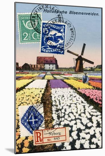 Tulips and Windmills, Dutch Vintage Postcard Collage-Piddix-Mounted Art Print