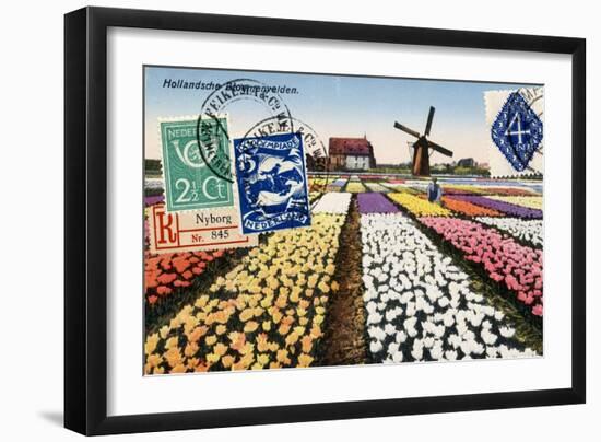 Tulips and Windmills, Dutch Vintage Postcard Collage-Piddix-Framed Premium Giclee Print