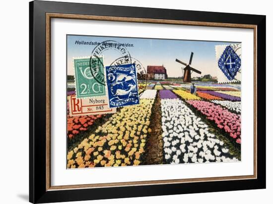 Tulips and Windmills, Dutch Vintage Postcard Collage-Piddix-Framed Art Print