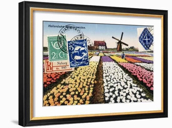 Tulips and Windmills, Dutch Vintage Postcard Collage-Piddix-Framed Art Print