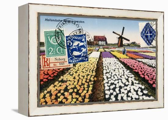 Tulips and Windmills, Dutch Vintage Postcard Collage-Piddix-Framed Stretched Canvas