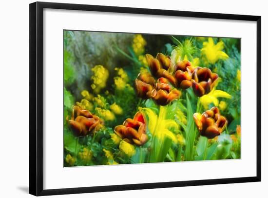 Tulips at Claude Monet House and Gardens, Giverny, France-Russ Bishop-Framed Photographic Print