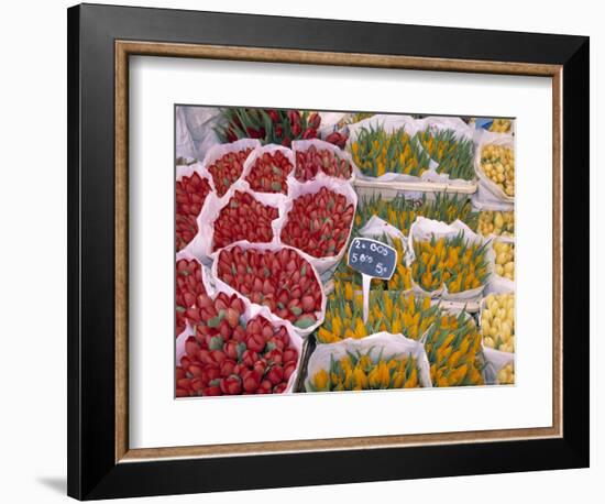 Tulips at Flower Market, Amsterdam, Holland-Jon Arnold-Framed Photographic Print