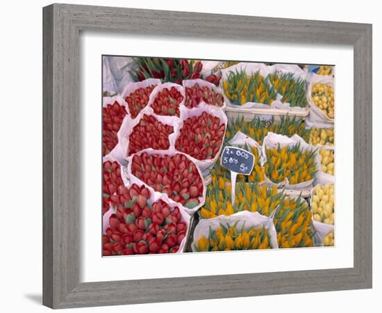 Tulips at Flower Market, Amsterdam, Holland-Jon Arnold-Framed Photographic Print