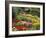 Tulips at Little Larford-Clive Nichols-Framed Premium Photographic Print