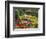 Tulips at Little Larford-Clive Nichols-Framed Photographic Print