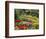 Tulips at Little Larford-Clive Nichols-Framed Photographic Print