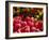 Tulips at Roozengaarde Display Garden, Mount Vernon, Skagit Valley, Washington, USA-William Sutton-Framed Photographic Print