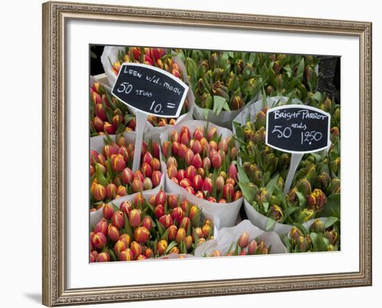 Tulips, Bloemenmarkt, Amsterdam, Holland, Europe-Frank Fell-Framed Photographic Print