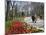 Tulips Bloom in Gulhane Park, Istanbul, Turkey-Julian Love-Mounted Photographic Print