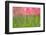 Tulips, Blossoms, Pink, Blossom, Blur, Tulpia, Blossom, Blossoms, Petals, Flowers-Herbert Kehrer-Framed Photographic Print