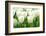 Tulips, Blossoms, White, Sunlight-Alexander Georgiadis-Framed Photographic Print