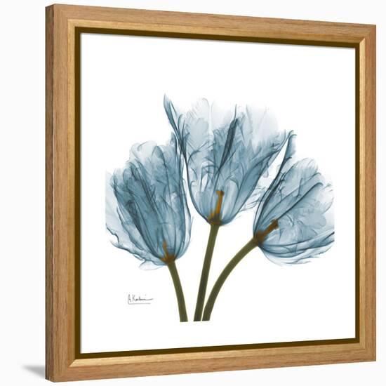 Tulips Blue-Albert Koetsier-Framed Stretched Canvas