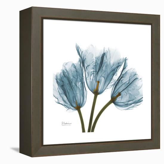 Tulips Blue-Albert Koetsier-Framed Stretched Canvas