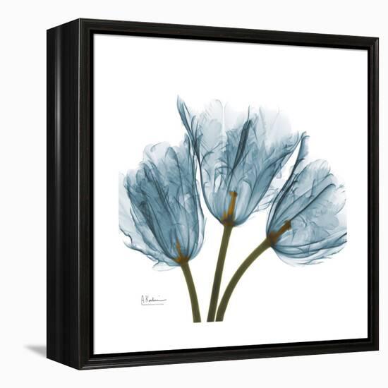 Tulips Blue-Albert Koetsier-Framed Stretched Canvas