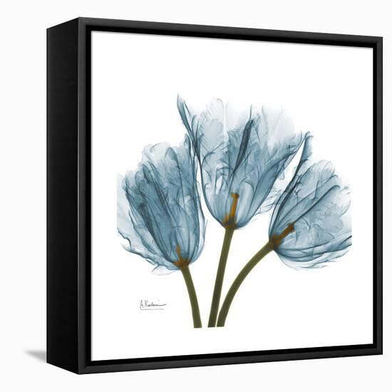 Tulips Blue-Albert Koetsier-Framed Stretched Canvas