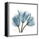 Tulips Blue-Albert Koetsier-Framed Stretched Canvas