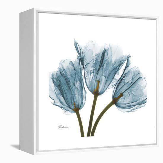 Tulips Blue-Albert Koetsier-Framed Stretched Canvas