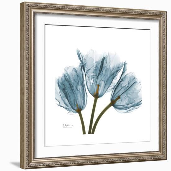 Tulips Blue-Albert Koetsier-Framed Premium Giclee Print