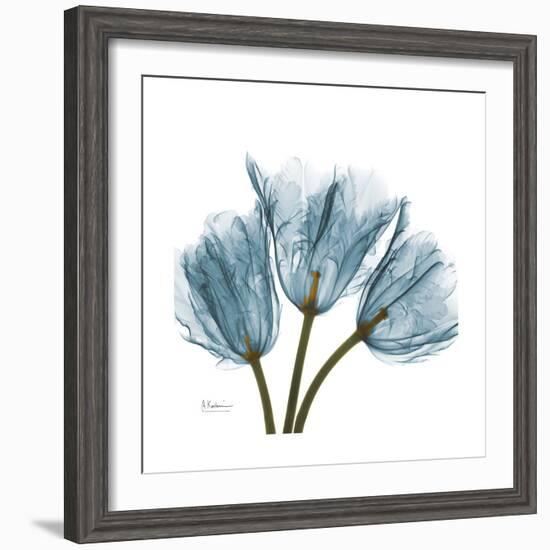 Tulips Blue-Albert Koetsier-Framed Premium Giclee Print