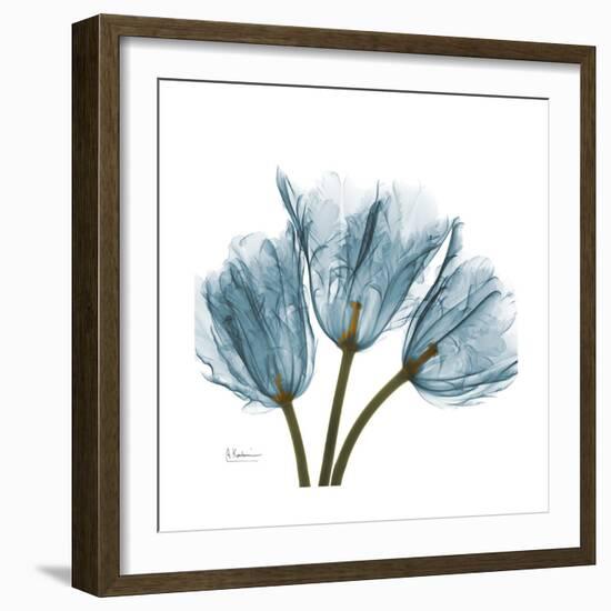 Tulips Blue-Albert Koetsier-Framed Premium Giclee Print