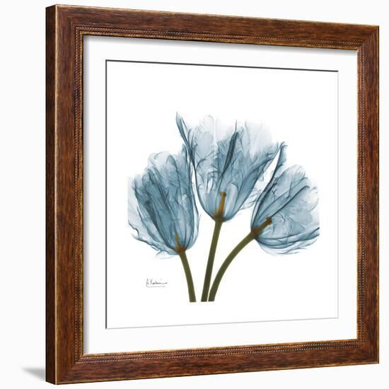 Tulips Blue-Albert Koetsier-Framed Premium Giclee Print