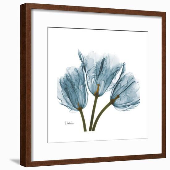 Tulips Blue-Albert Koetsier-Framed Premium Giclee Print