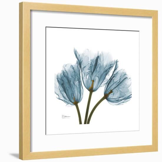 Tulips Blue-Albert Koetsier-Framed Premium Giclee Print