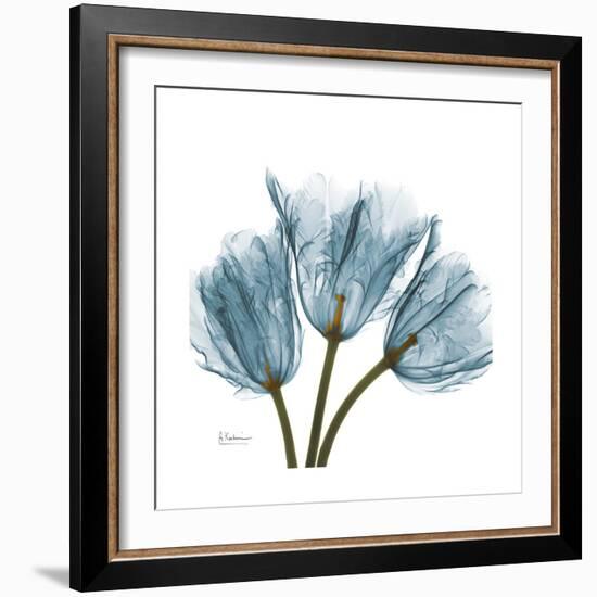 Tulips Blue-Albert Koetsier-Framed Premium Giclee Print