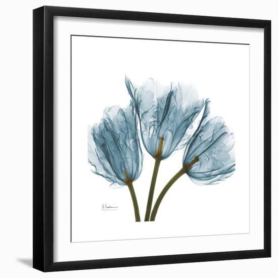 Tulips Blue-Albert Koetsier-Framed Premium Giclee Print