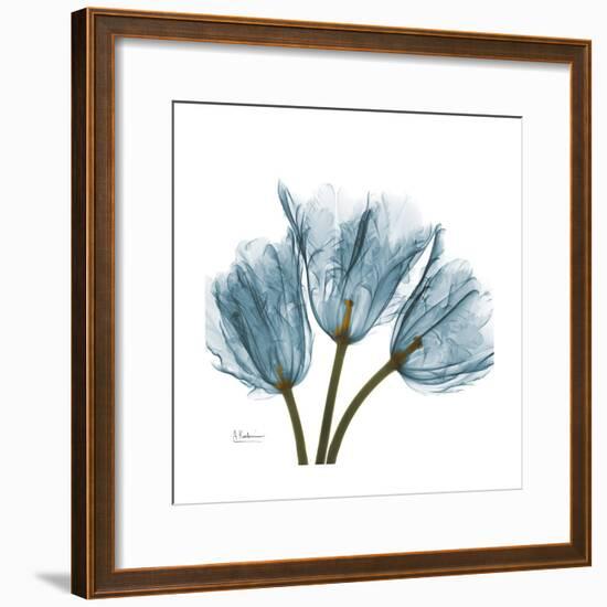 Tulips Blue-Albert Koetsier-Framed Premium Giclee Print