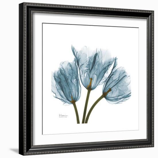 Tulips Blue-Albert Koetsier-Framed Premium Giclee Print