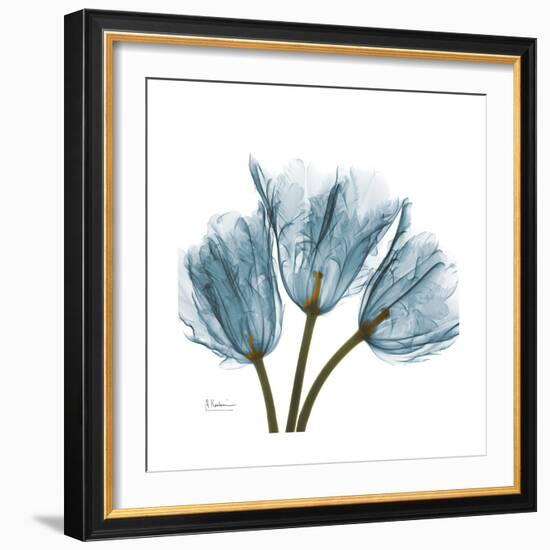 Tulips Blue-Albert Koetsier-Framed Premium Giclee Print