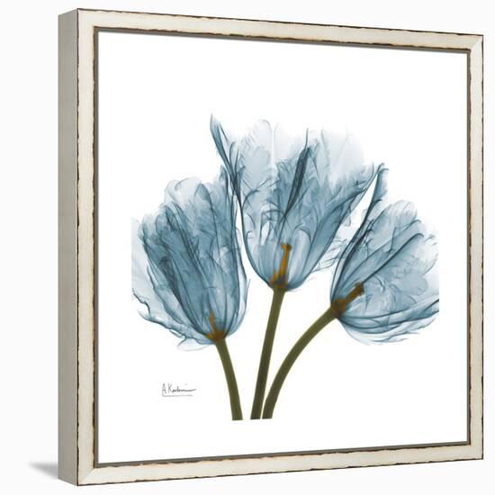 Tulips Blue-Albert Koetsier-Framed Stretched Canvas